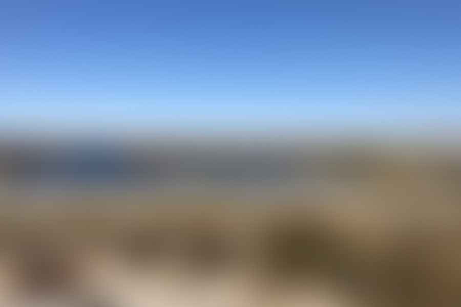 wildlife on Emerald Isle
