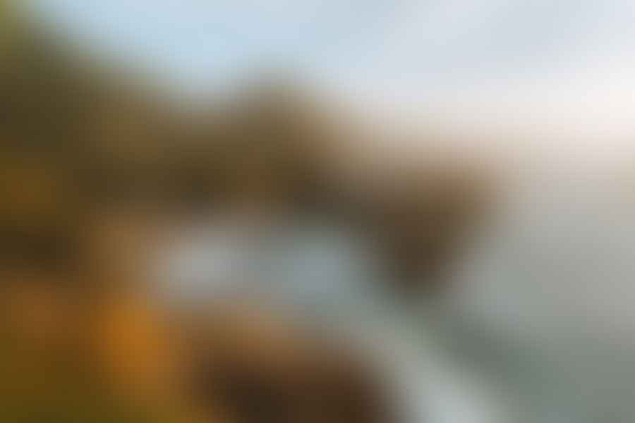 Surfrider Foundation campaigns