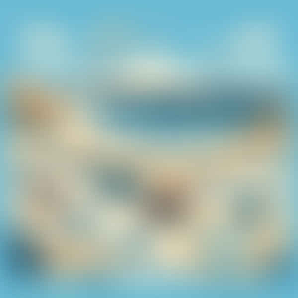 Access Unlocked: Key Entry Points for Vehicle-Friendly Beaches Across the US