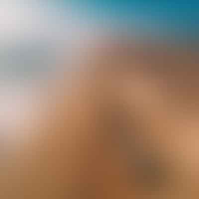 Beach Driving Etiquette and Guidelines: How to Coexist with Nature and Others on the Beach