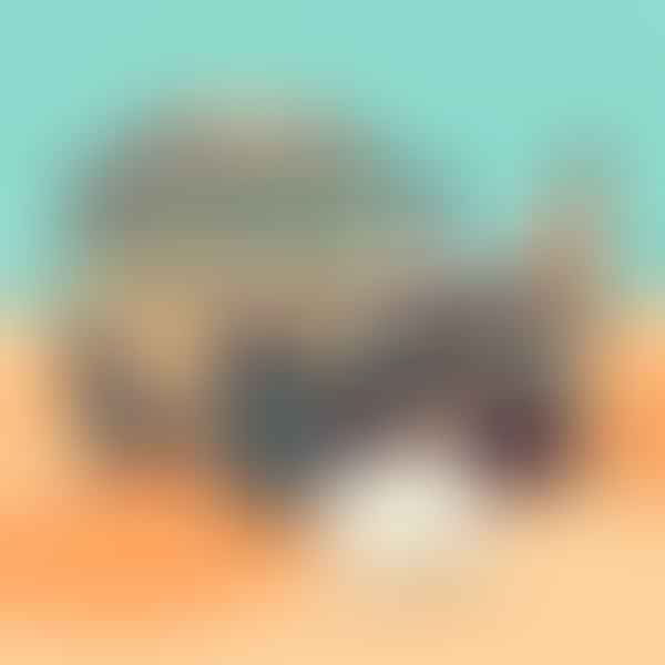 Beach Driving Permits: A Step-by-Step Guide to the Application Process