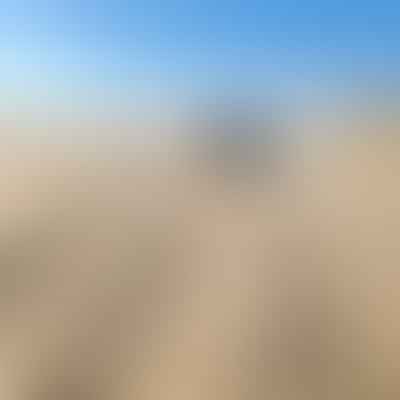 Beach Driving Restrictions and Closures: Stay Informed and Avoid Fines
