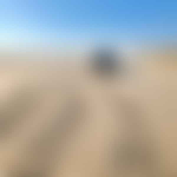 Beach Driving Restrictions and Closures: Stay Informed and Avoid Fines