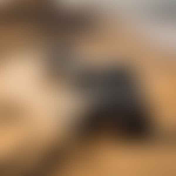 Beach Driving vs Dune Driving: Key Differences and Safety Tips for Both