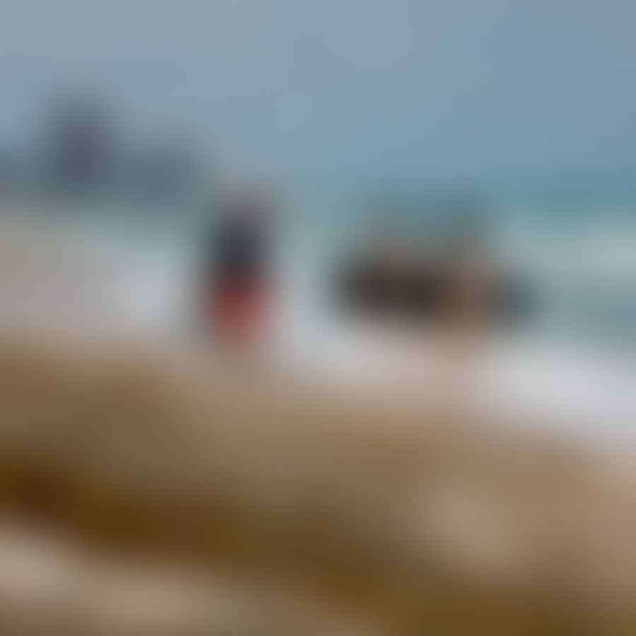 Screenshot of the Florida Beach Driving Permit application form