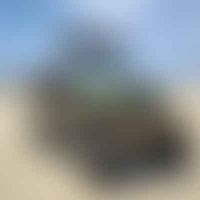 Vehicle Requirements and Preparations for a Successful Beach Drive