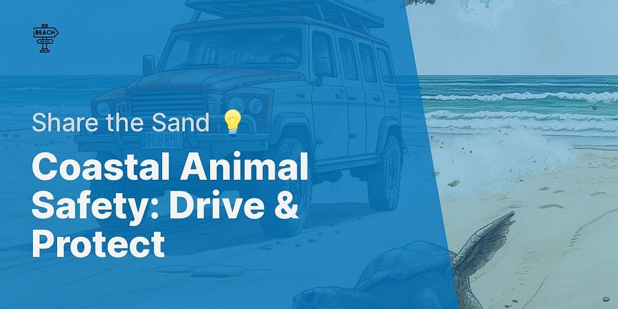 Coastal Animal Safety: Drive & Protect - Share the Sand 💡