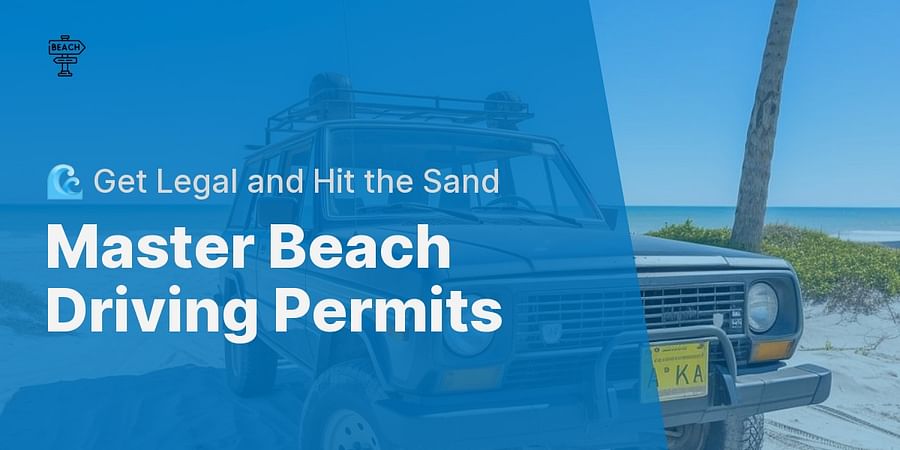 Master Beach Driving Permits - π Get Legal and Hit the Sand